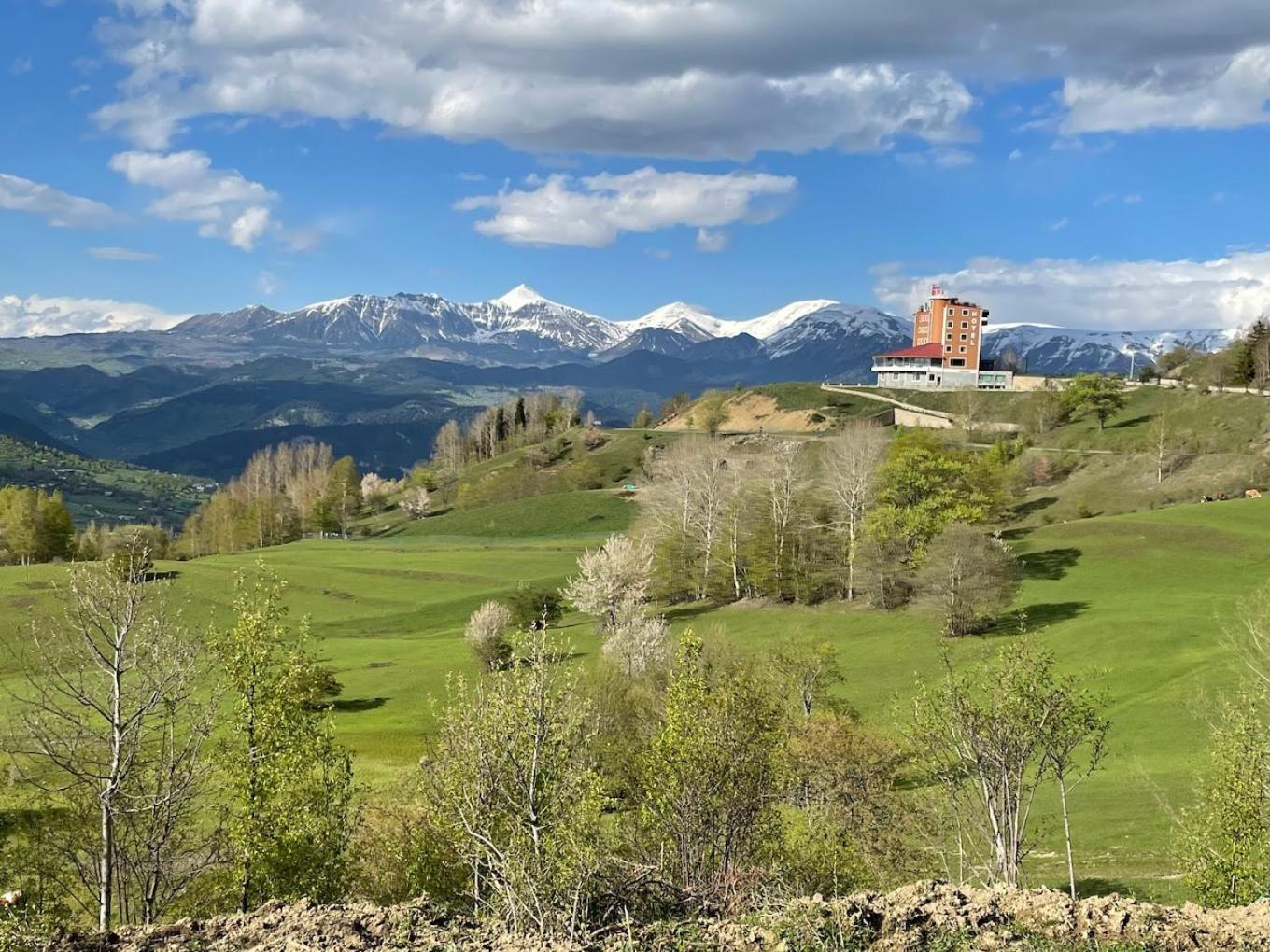 Black Forest Hotel Savsat Εξωτερικό φωτογραφία