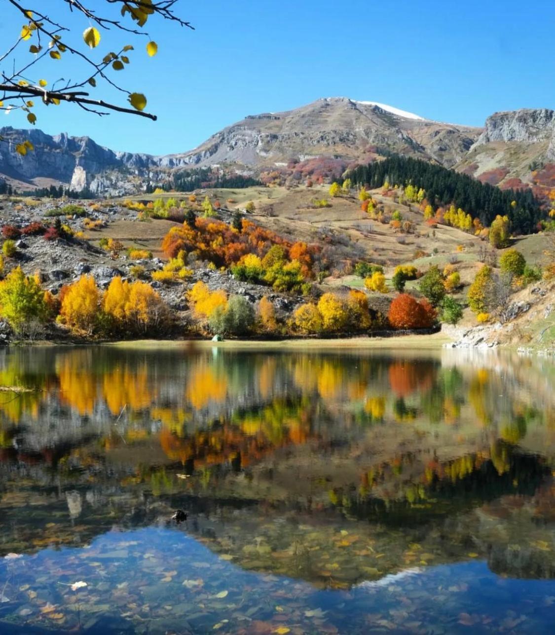 Black Forest Hotel Savsat Εξωτερικό φωτογραφία