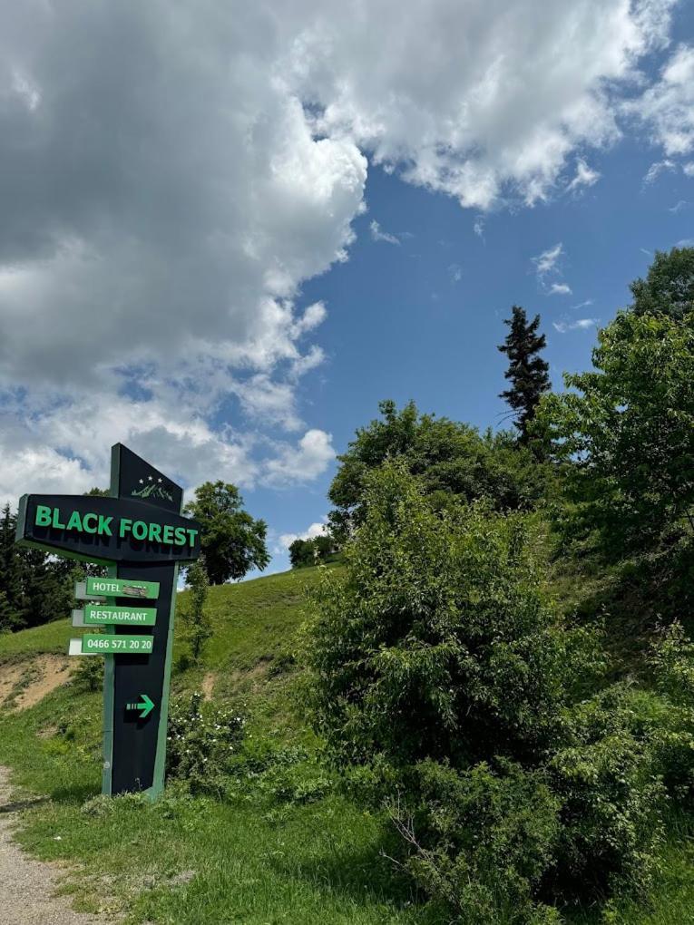 Black Forest Hotel Savsat Εξωτερικό φωτογραφία