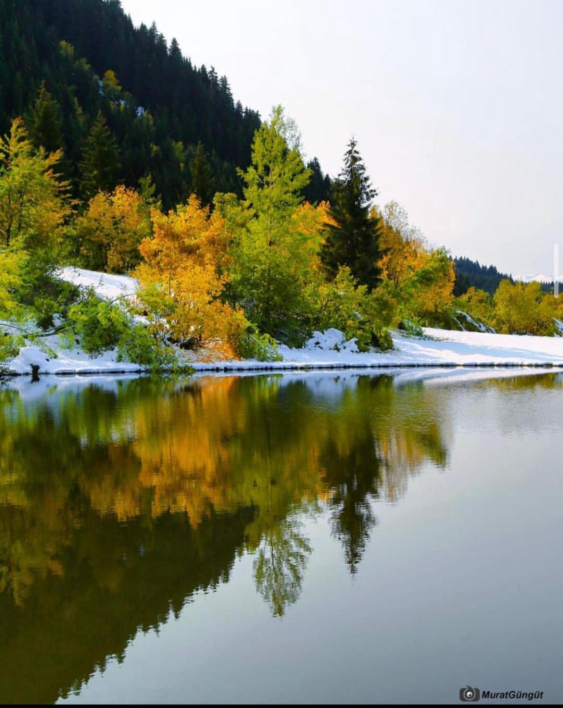 Black Forest Hotel Savsat Εξωτερικό φωτογραφία