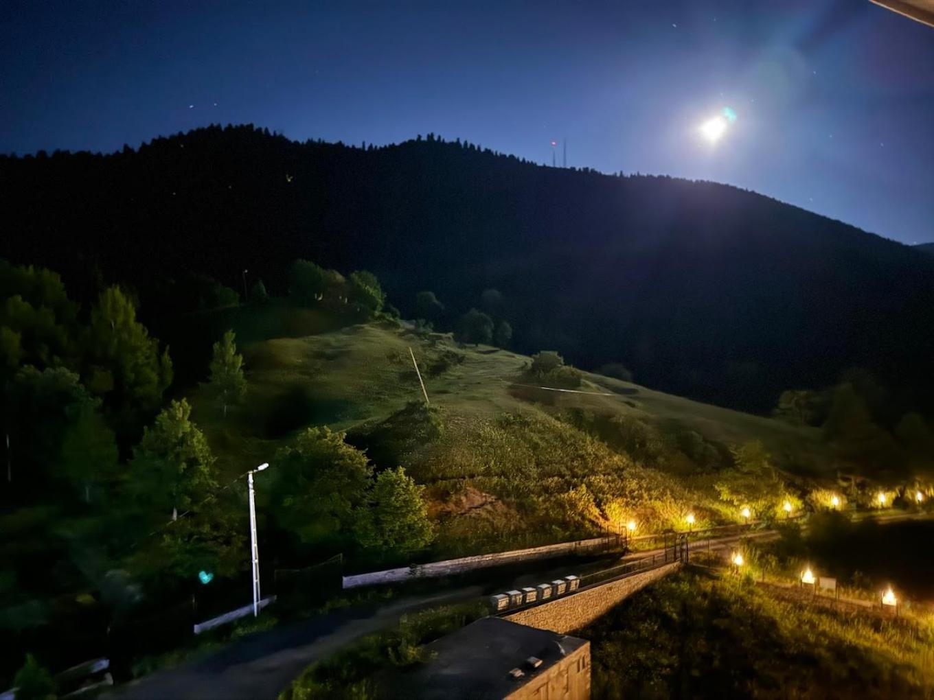 Black Forest Hotel Savsat Εξωτερικό φωτογραφία