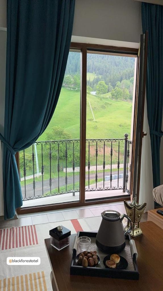 Black Forest Hotel Savsat Εξωτερικό φωτογραφία