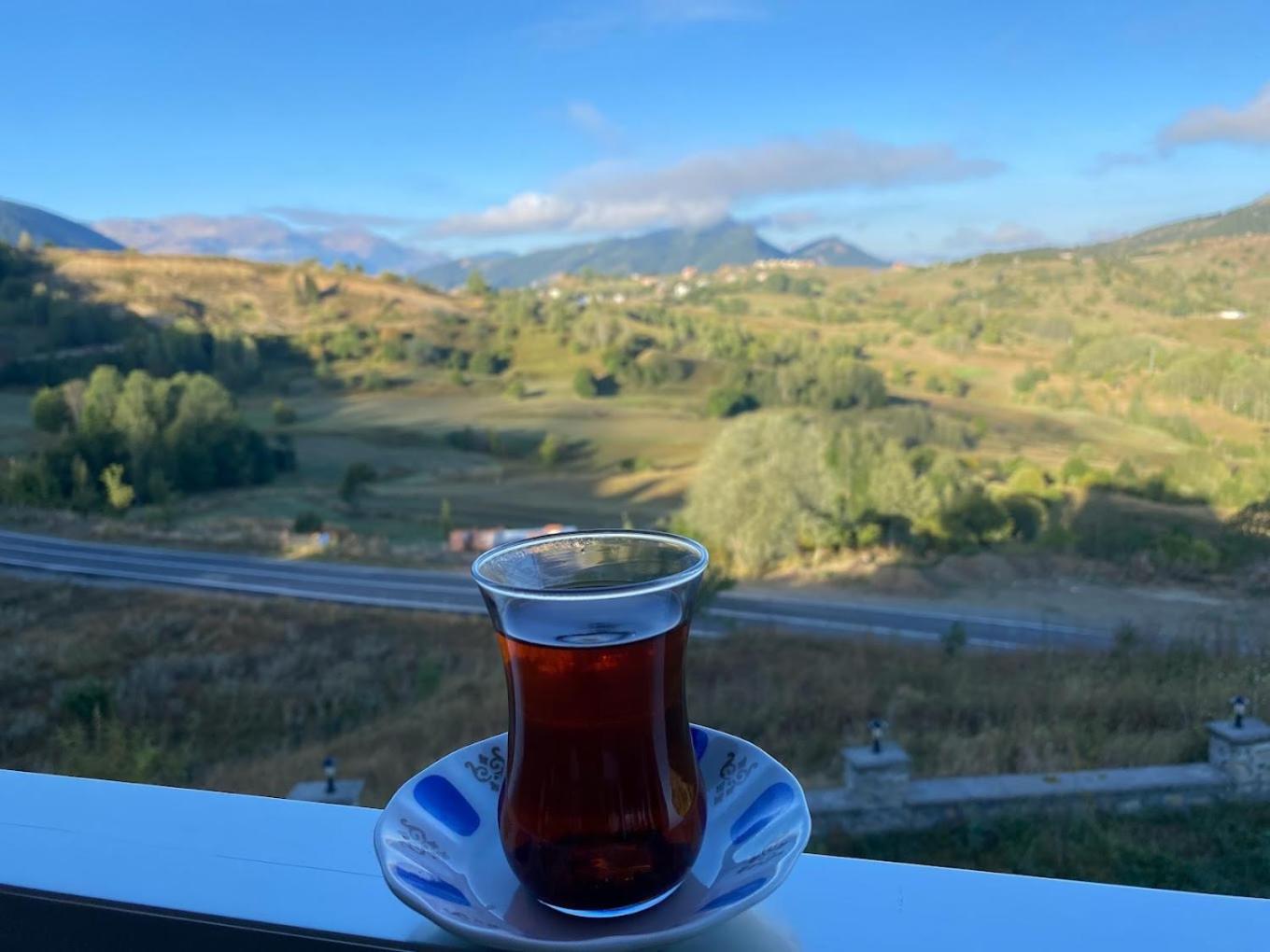 Black Forest Hotel Savsat Εξωτερικό φωτογραφία