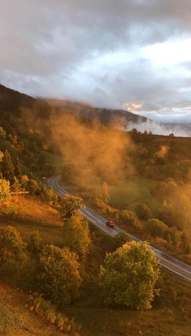Black Forest Hotel Savsat Εξωτερικό φωτογραφία