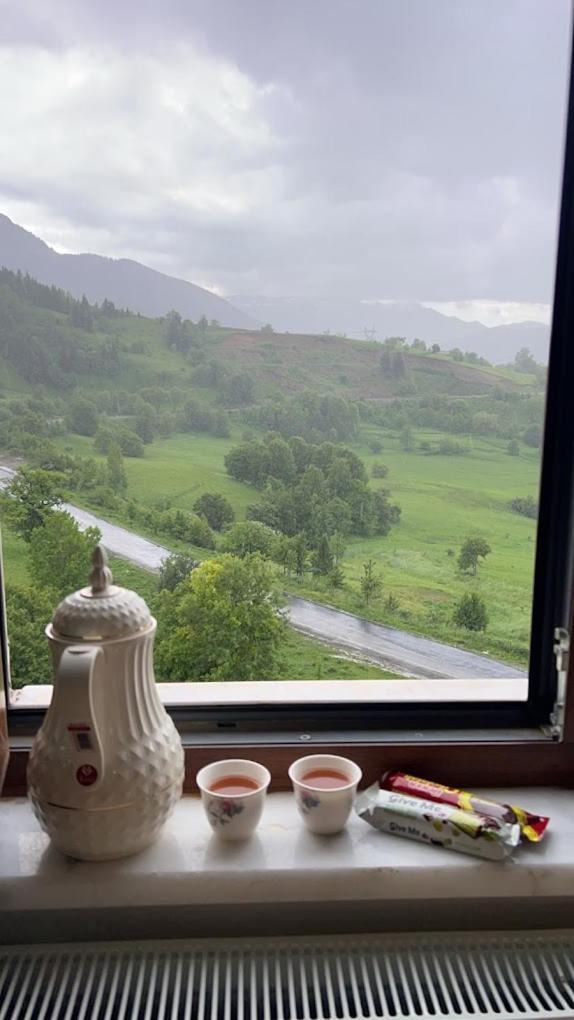 Black Forest Hotel Savsat Εξωτερικό φωτογραφία